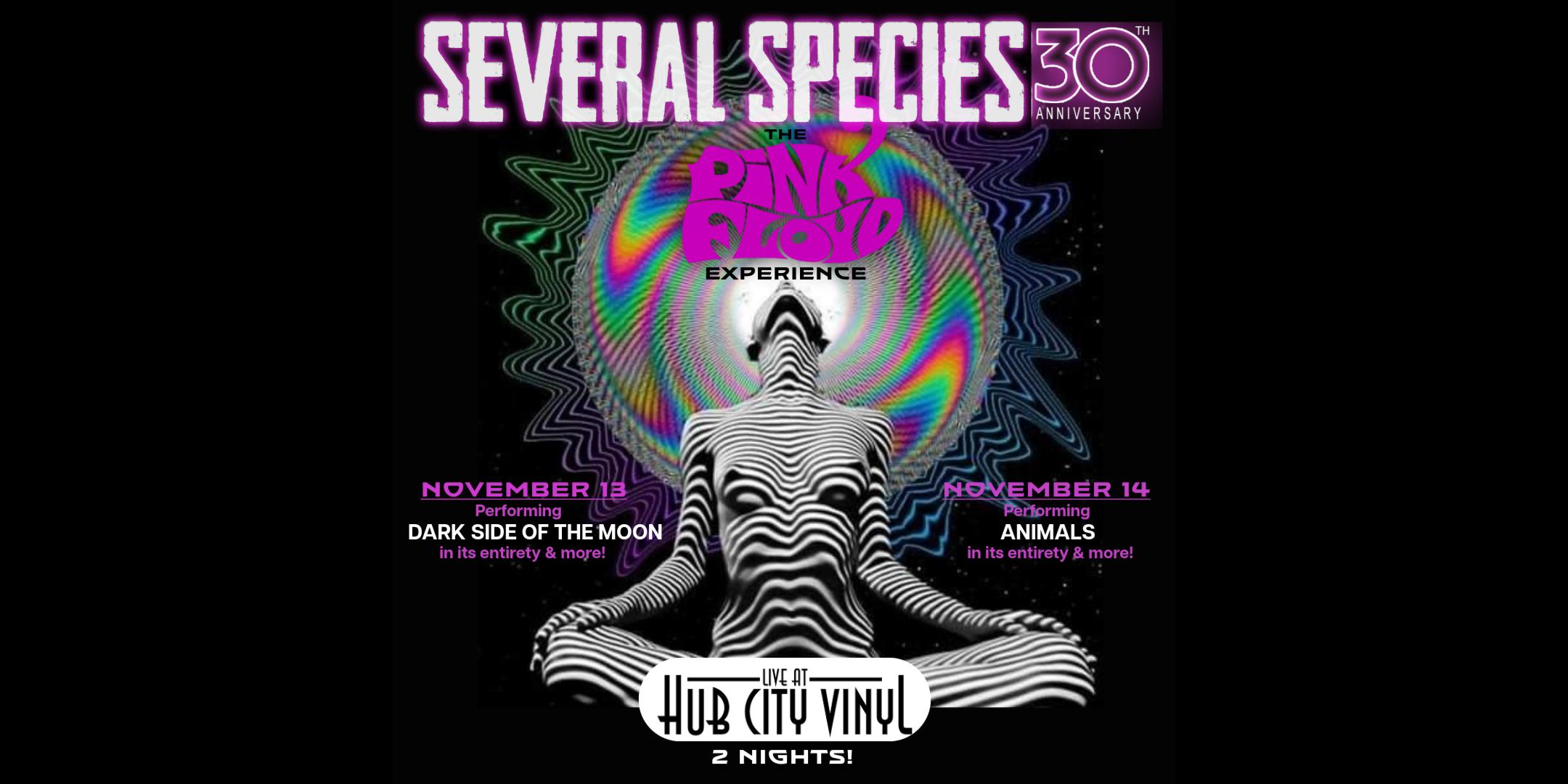 Several Species: The PINK FLOYD Experience – Night 1: Dark Side of The Moon